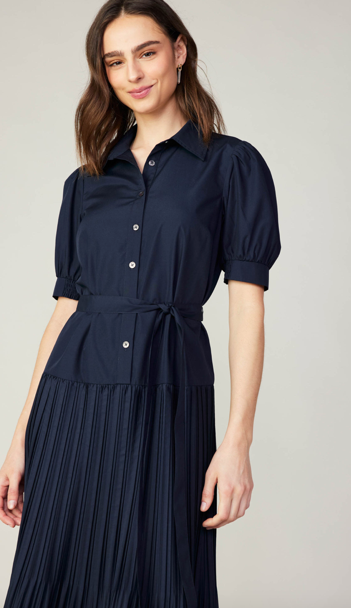 aubree pleated dress Aubree Pleated Dress Baltic Born